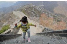 北京：已有序恢复开放等级旅游景区73家