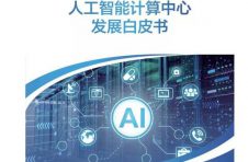 《人工智能计算中心发展白皮书》：以“书”为鉴，洞见产业走向