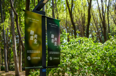 2023年北京森林城市艺术节正式启动，打造“公园文化生态”IP，让城市与自然融合共生，影像艺术季留驻自然之美
