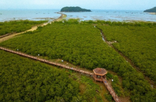 滨海生态再添新绿  各方聚力共护生物多样性   马爹利在琼粤两地同步启动红树林保护项目第三阶段工作