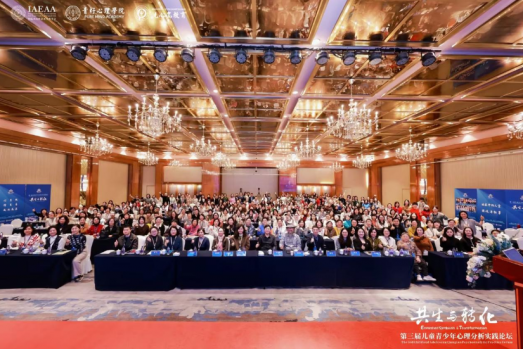 第三届儿童青少年心理分析实践论坛圆满落幕